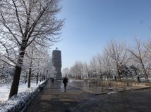 20130320上班之前公园儿小拍