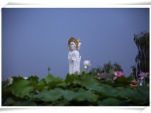 禅亦禅非~~~~荷韵