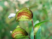 20120910★继续支持摄影版●山里拍的★