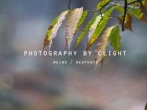 虞山.秋美! all mountain