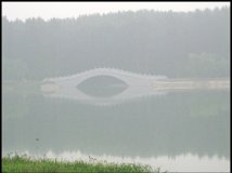 运河、桥、水鸟、荷花（朦胧版）