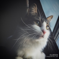 外面的世界好精彩