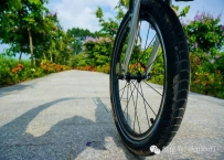 东莞麻涌华阳湖骑行，感受绿色生态之美