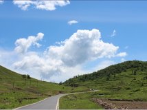 分享端午骑行风景