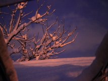 清早出门去扫雪 哈哈哈