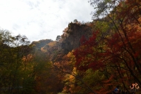 关门山的风叶红了