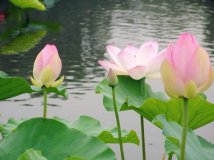 花甲之年骑友的好去处