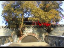 2013元旦泰山看日出