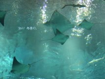 海洋公园。。。