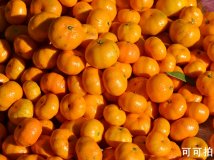 异地闲拍（很纯很纯的菜鸟）