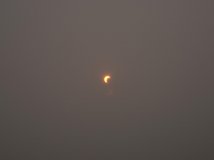 大家请看今早的太阳