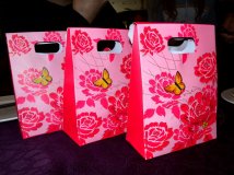 发几张20100207东升车行年会照片