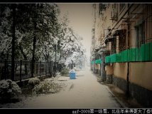 ggf-2009第一场雪，比往年来得更大了些！