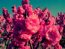 【测试小米2S 16G】下班路上随拍(20pics)