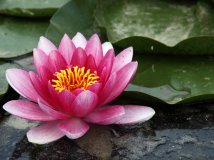 房山长沟湿地公园