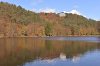 赏秋-比利时 SPA 周边