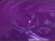 水滴的跳水生涯——带1：2微距70-300试片