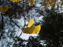 《好利时HOLUX骑迹摄影比赛》-------秋