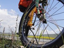 【莫莫】在路上