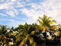 随走随拍之蓝天