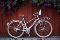 顶级摄影师作品赏析|43幅绝美的自行车照片