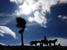 门头沟灵山“秋意正浓”