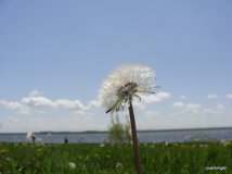 新人发老片，大家给捧个人气儿，谢谢！！风云首贴