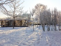 镜头里的2013（2）---北京2013年最后一场雪