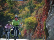 （HOLUX参赛作品）骑行在画中