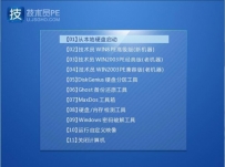技术员U盘启动盘PE制作工具 V5.1（UEFI+UD双启动）