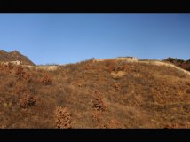 我能发图了----布衣了，发两张周六拍的！