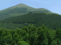 山花烂漫——2240米的海陀山掠影