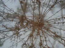 终于能在这发帖了。。