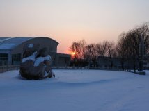 终于，下雪了、、、、、、