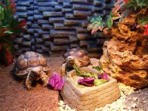 换换口味 车以外的生活