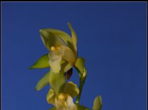 第一次“棚拍”