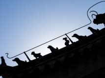 【0610潭柘寺】90mm潭柘寺