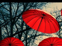 By—China——一张