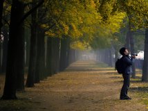 10。23，不骑车，只拍照，银杏大道小拍