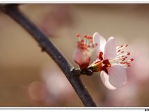 “春.夏.秋.冬”