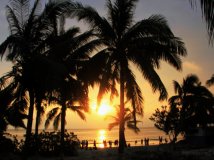 日薄琼岛别样红