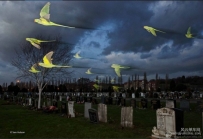 摄影技巧|后帘同步与慢门闪光