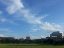 手机随拍：蓝蓝的天上白云飘，白云下面人儿跑