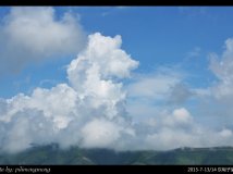 初登甸子梁，观云海，赏金莲~~（海量pp杀内存）