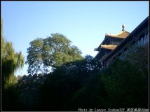 9.22菜机写意小景随拍：秋高气爽啊