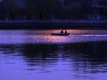 哪张照片颜色真实呢？