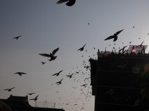 【Ghost sun】 延庆昌平FB 2009-1-30