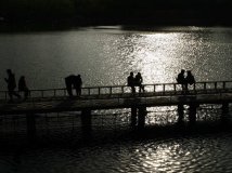 献给还是单身的骑士们，光棍节快乐！