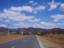 驰鹿队. 今天013.4.6日.(周六)天气真好