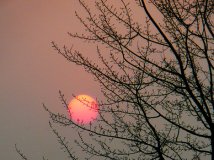 52年来最大的月亮——元宵节现场直播